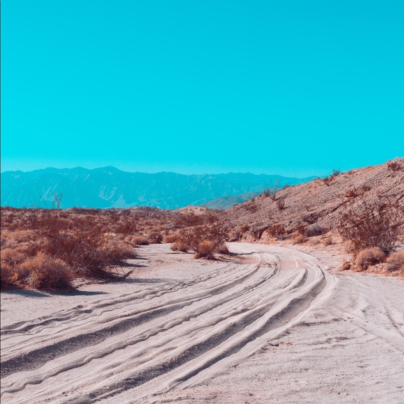 Meet your Posher, Jessica - Picture 1 of 1